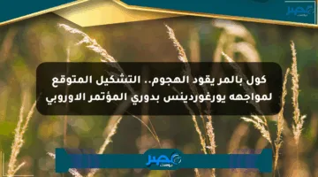 كول بالمر يقود الهجوم.. التشكيل المتوقع لمواجهة يورغوردينس بدوري المؤتمر الأوروبي